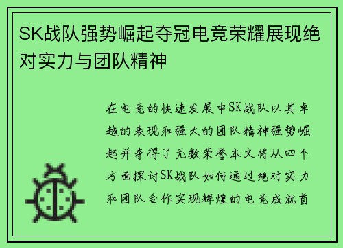 SK战队强势崛起夺冠电竞荣耀展现绝对实力与团队精神