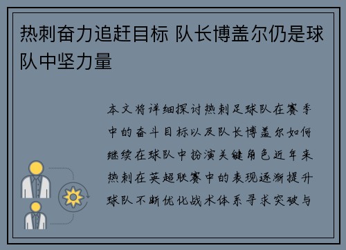 热刺奋力追赶目标 队长博盖尔仍是球队中坚力量