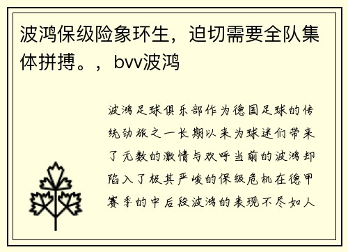 波鸿保级险象环生，迫切需要全队集体拼搏。，bvv波鸿