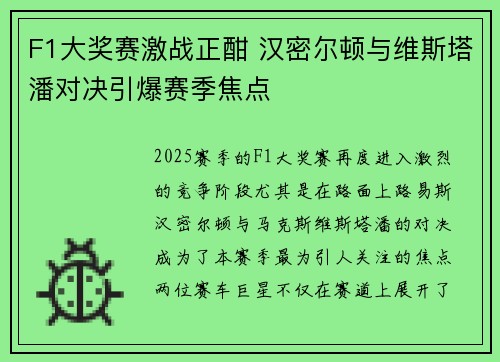 F1大奖赛激战正酣 汉密尔顿与维斯塔潘对决引爆赛季焦点